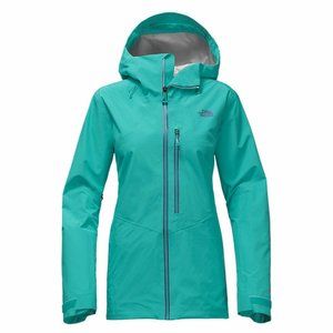 NWT North Face Free Thinker Ski Jacket